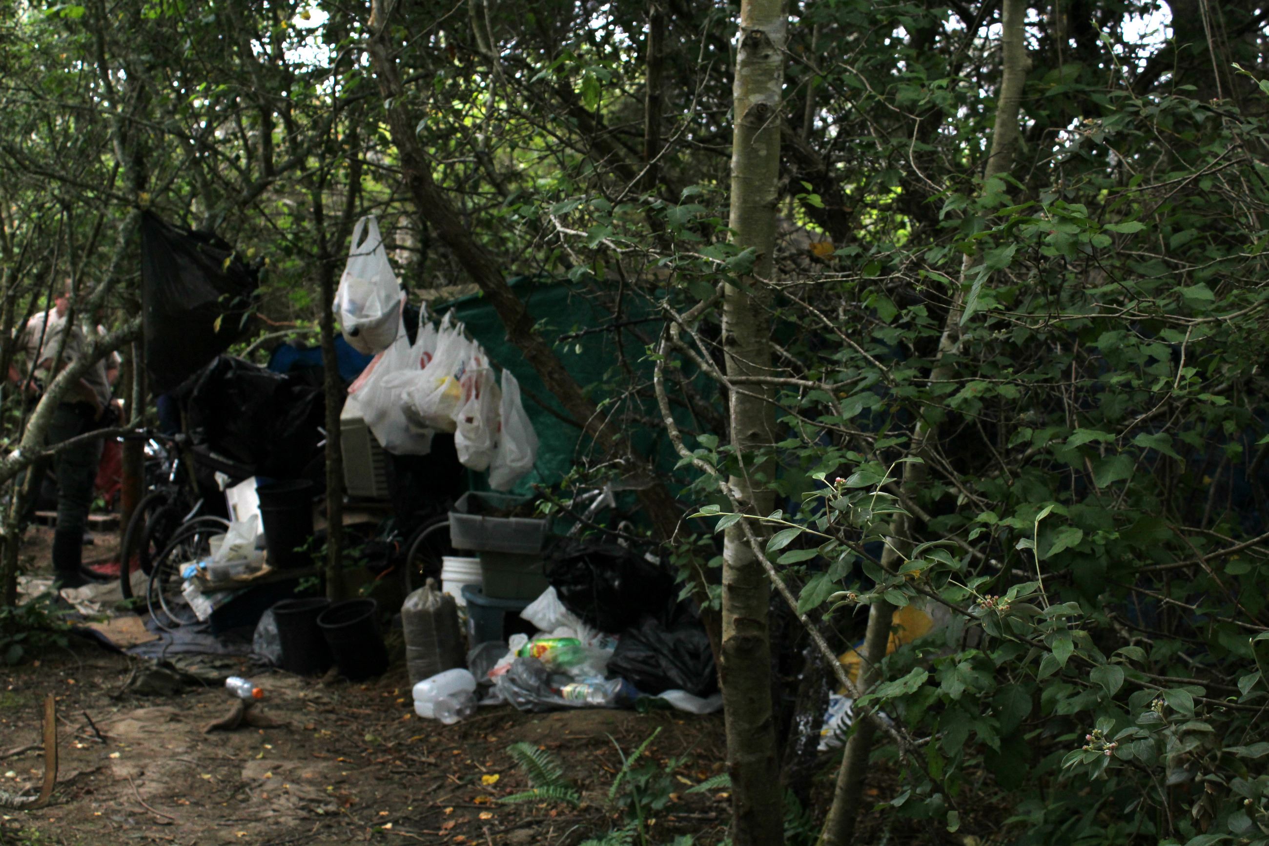 Central Avenue Camp #1